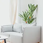 - Le Quai 07 Χάβρη